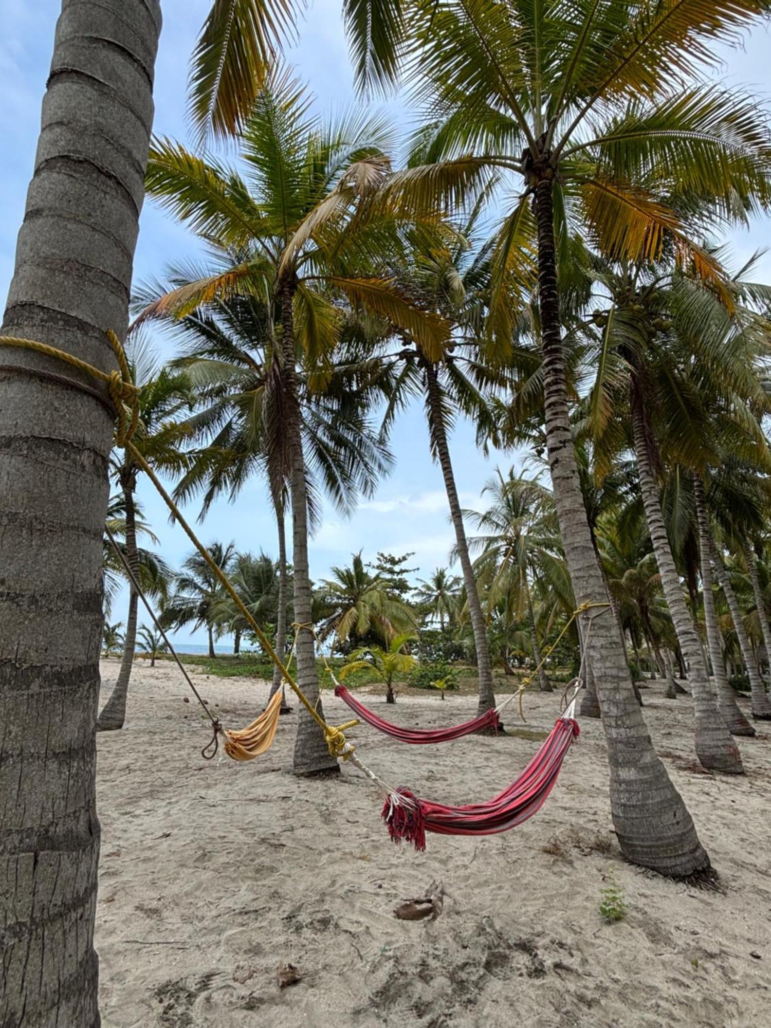 Hotel Playa Bonita Tayrona Buritaca Eksteriør billede