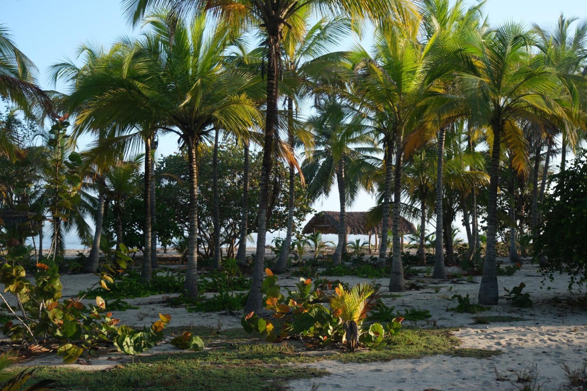 Hotel Playa Bonita Tayrona Buritaca Eksteriør billede