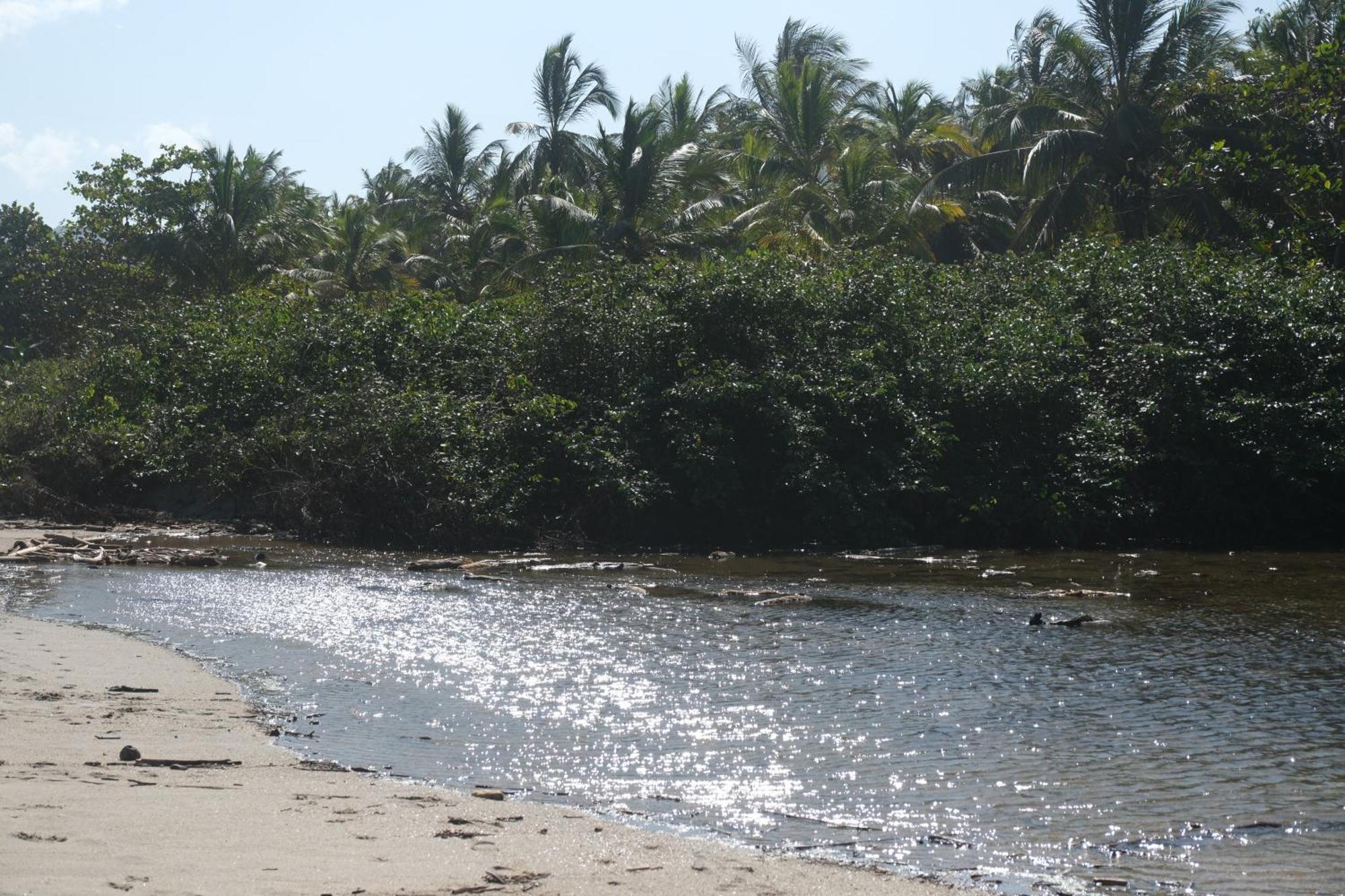 Hotel Playa Bonita Tayrona Buritaca Eksteriør billede