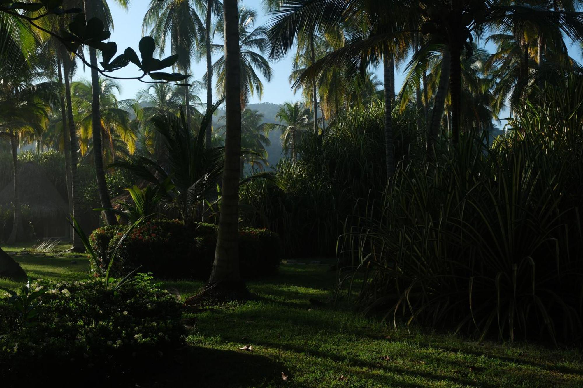 Hotel Playa Bonita Tayrona Buritaca Eksteriør billede